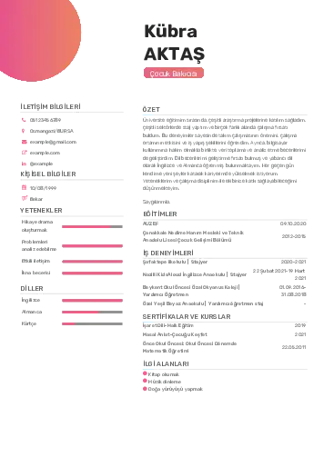 Çocuk Bakıcısı CV Örnekleri cv indir